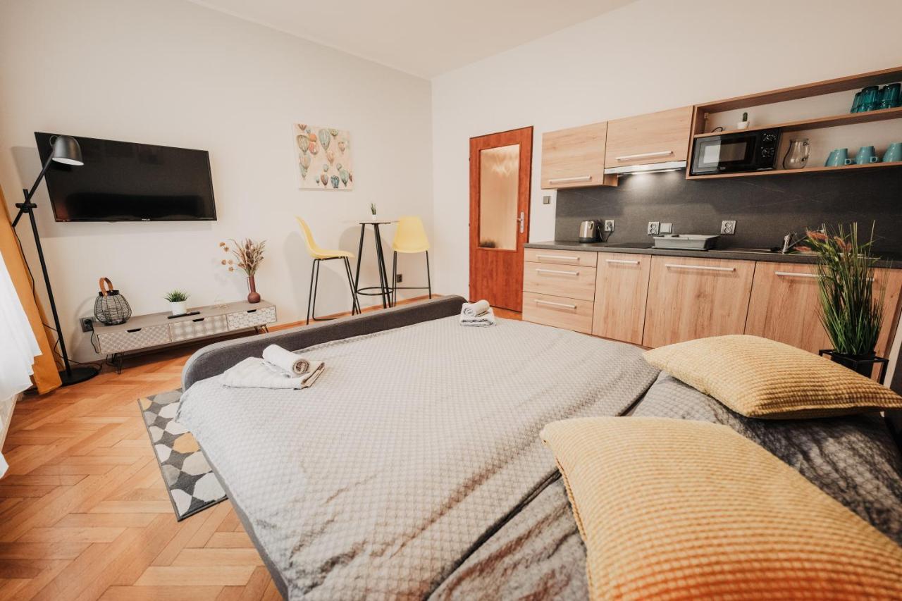Elegant Studio, 400M From The Square Apartment Plzen Exterior photo
