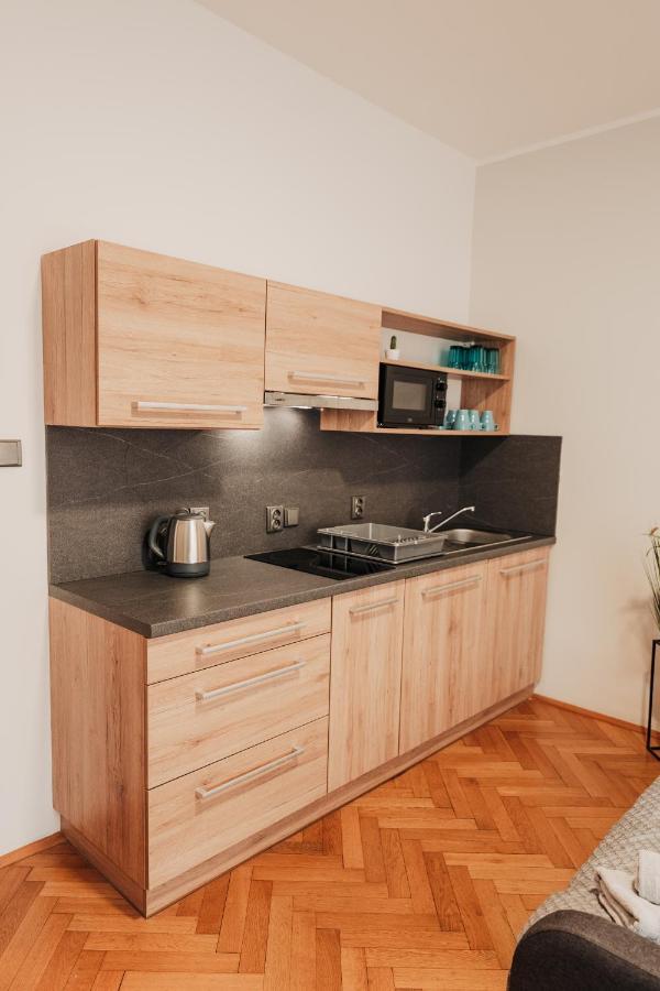 Elegant Studio, 400M From The Square Apartment Plzen Exterior photo